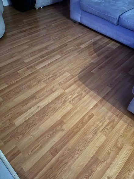Photo of free Flooring (Springfield CM1) #2