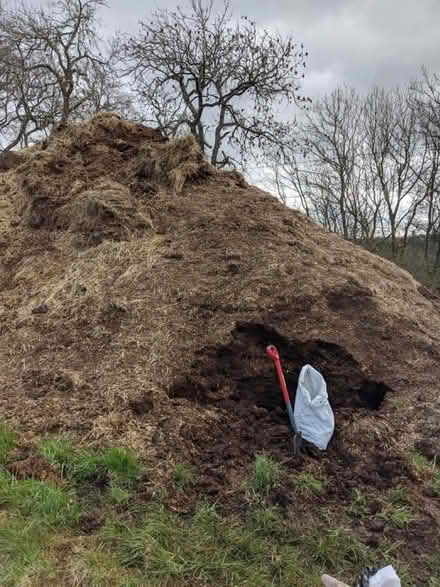 Photo of Well rotted manure (BN2) #1
