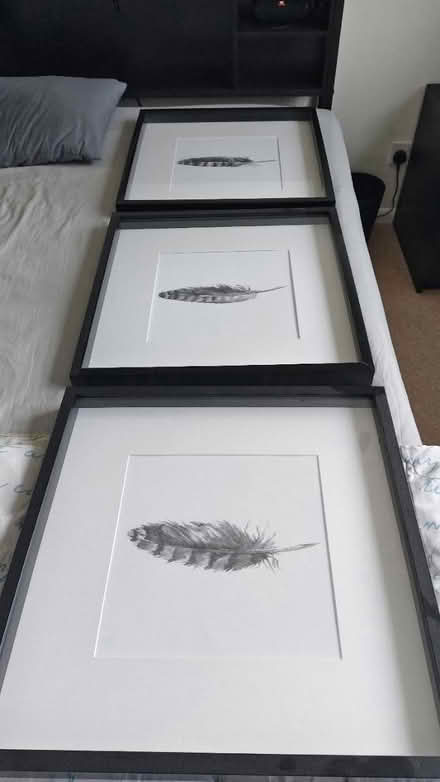 Photo of free 3 seperate photo frame (Sawston CB22) #2