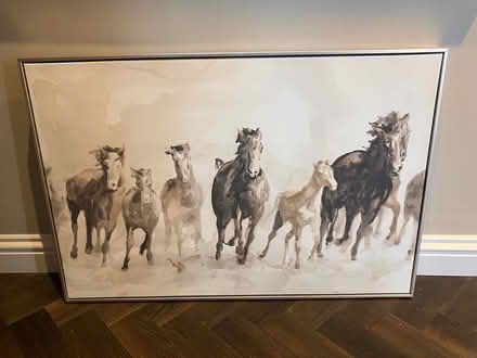 Photo of free Large framed horse art (Velmead GU52) #1
