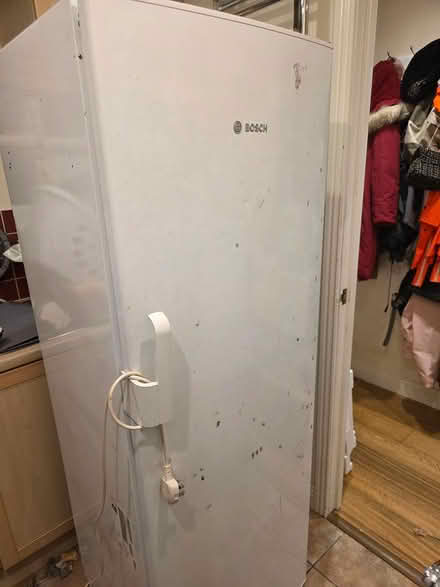 Photo of free Bosch upright freezer (Botley Road, Oxford, OX2) #2