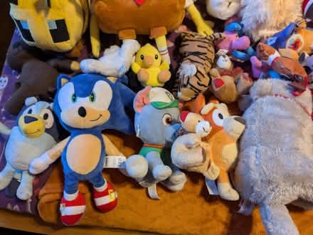 Photo of free Lots of teddies (CB22) #4