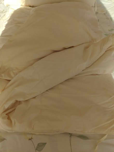 Photo of free King Size Feather Duvet (Ditchling Common BN6) #2