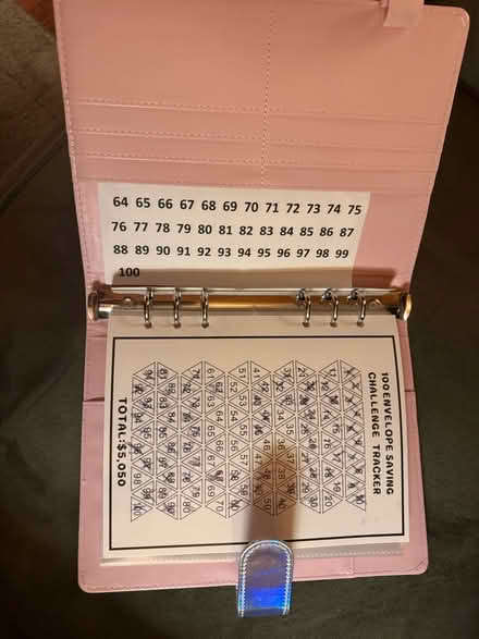 Photo of free 100 Envelope savings book (South Elgin) #3