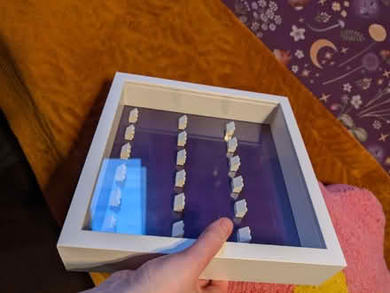 Photo of free Lego figure display case (CB22) #2