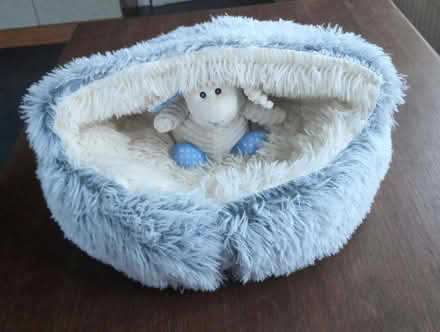 Photo of free Cat bed (Twyford RG10) #1