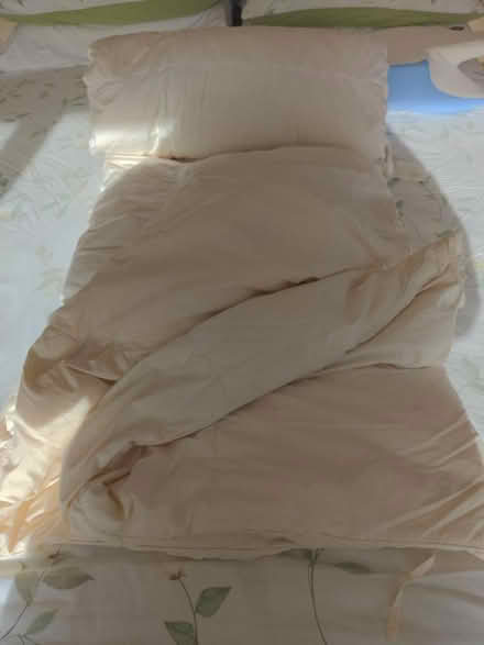 Photo of free King Size Feather Duvet (Ditchling Common BN6) #1