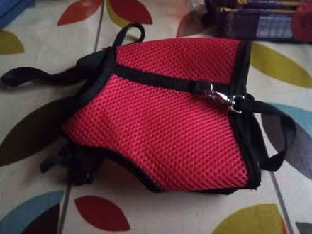 Photo of free Cat/ Small Dog Harness with Lead (St Andrew's Wharf DE1) #1