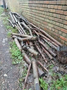 Photo of free Logs / branches (e.g. for burning etc) (City of Bristol BS5) #1