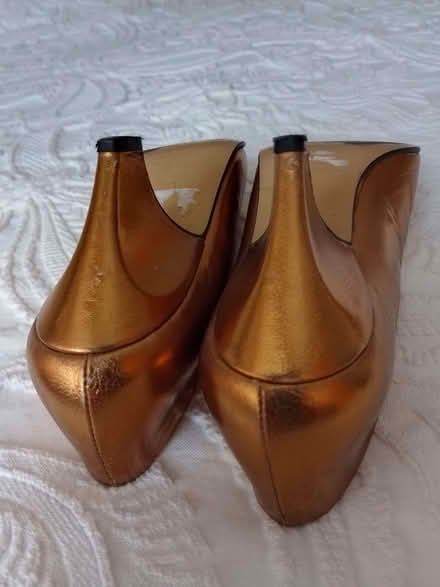 Photo of free Elegant Bronze Court Shoes Size 36 (Bexhill TN39) #3