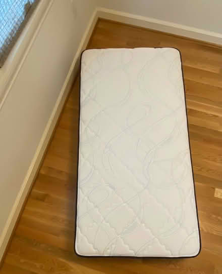 Photo of free Twin Mattress (NE Ballard) #1