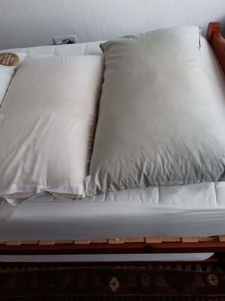 Photo of free pillows (Ashfield CA14) #1
