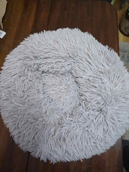 Photo of free Cat/Kitten bed (Carshalton) #1