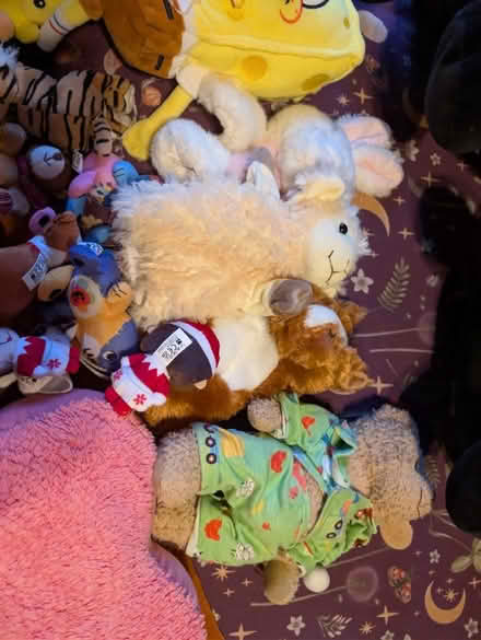 Photo of free Lots of teddies (CB22) #2