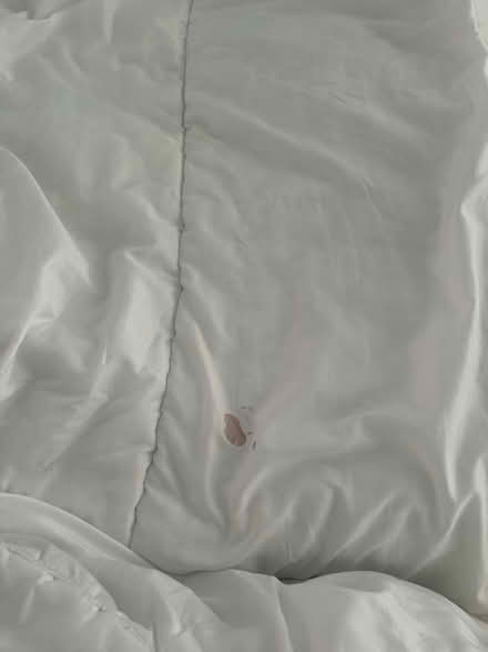 Photo of free Double duvet slumberdown (Carshalton SM5) #2