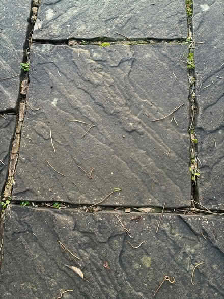 Photo of free Patio slabs (Horsley DE21) #1