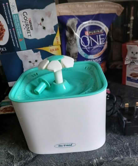 Photo of free Cat fountain (Great Yarmouth NR30) #1