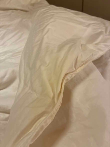 Photo of free Queen Sized Comforter (Winnetka) #2