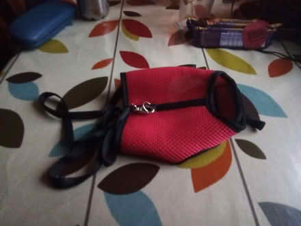 Photo of free Cat/ Small Dog Harness with Lead (St Andrew's Wharf DE1) #3