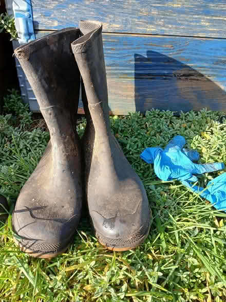 Photo of free Wellingtons (Bradgate S61) #1