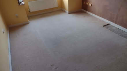 Photo of free Lounge carpet (Chippenham SN14) #1