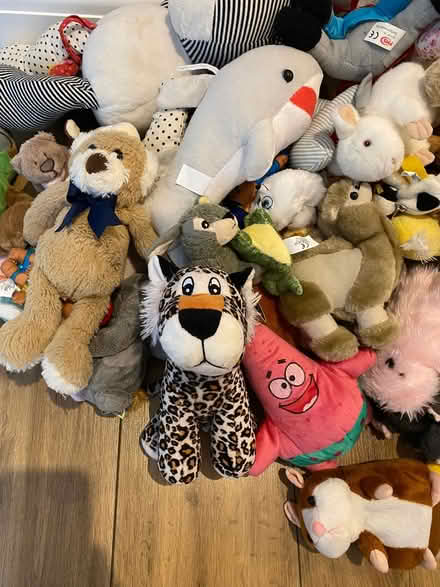 Photo of free Teddy Bundle x53 (Horndon SS17) #3