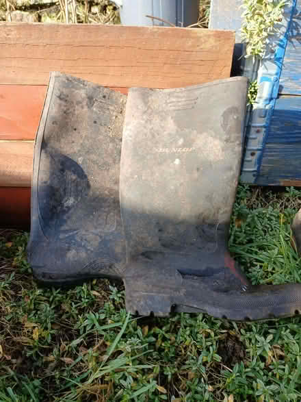 Photo of free Dunlop Wellingtons (Bradgate S61) #1