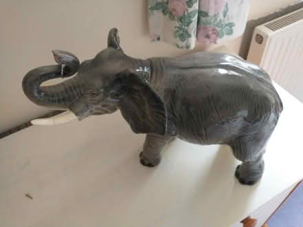 Photo of free China Elephant (Presteigne LD8) #2