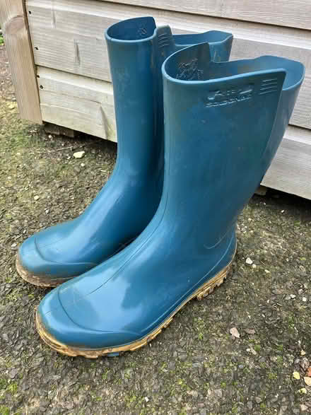 Photo of free Wellies size 4-5 (Whitecross OX13) #1