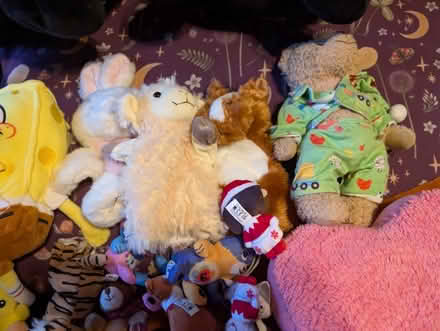 Photo of free Lots of teddies (CB22) #4