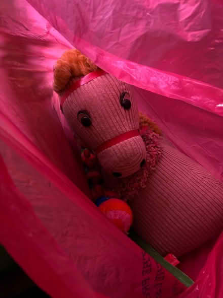 Photo of free 1980s Teddy’s and soft toys (Blackrock) #3