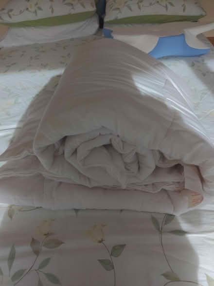 Photo of free Double Duvet Polyester (Ditchling Common BN6) #2