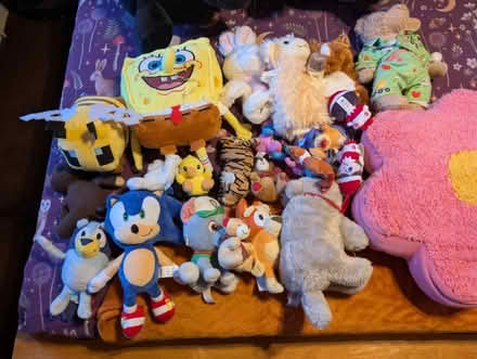Photo of free Lots of teddies (CB22) #1