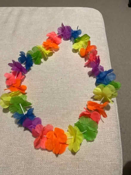 Photo of free Hawaiian necklace (Tonbridge TN10) #1