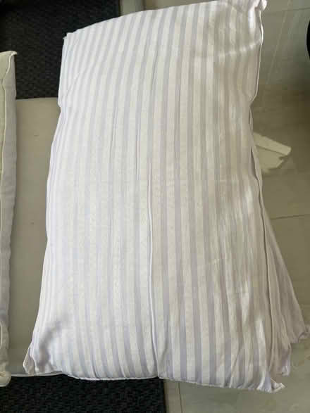 Photo of free Pillows (Locks Heath SO31) #2