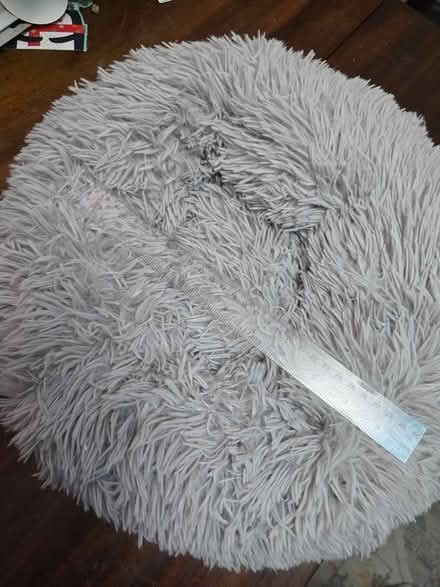 Photo of free Cat/Kitten bed (Carshalton) #2