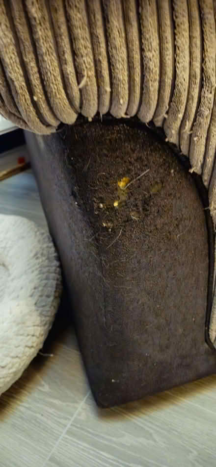 Photo of free Sofa, footstool, recliner chair (Droylsden M43) #4