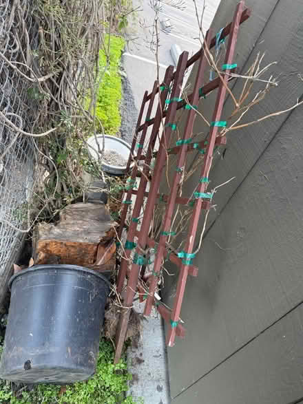 Photo of free Trellis, plant, & pot with soil (Valencia Avenue, Sunnyvale) #1