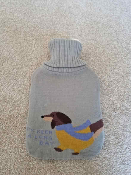 Photo of free Hot water bottle and cover (Bear Flat) #1