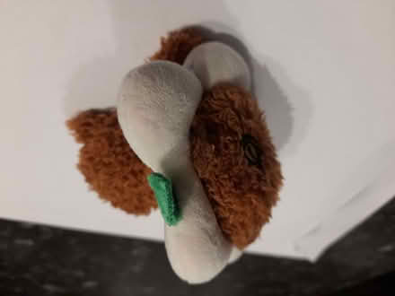 Photo of free Soft Toy (Anthorn CA7) #2
