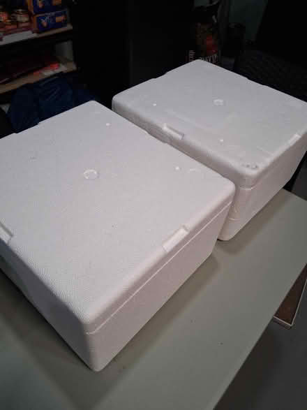 Photo of free Two Styrofoam coolers (Snell and Santa Teresa) #1