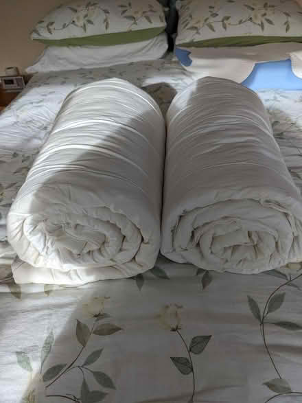 Photo of free Two IKEA Polyester Single Duvets (Ditchling Common BN6) #1