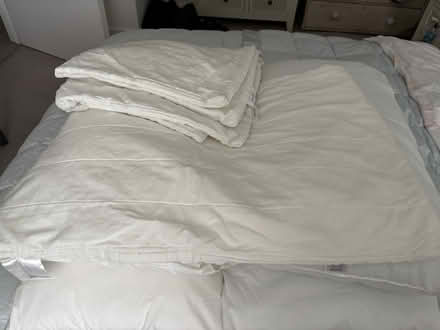 Photo of free 4 standard size pillows 3 pillowcases (Chichester PO19) #3