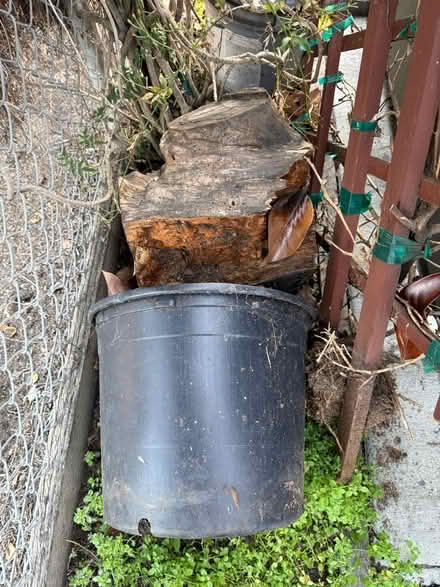 Photo of free Trellis, plant, & pot with soil (Valencia Avenue, Sunnyvale) #3