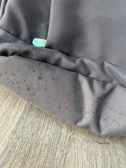 Photo of free FlyBye insulated Cooler Backpack. Good condition (Southsea PO4) #2