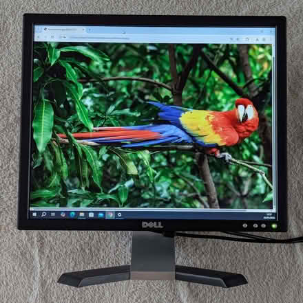 Photo of free 19" Dell VGA LCD Monitor (Dean Court OX2) #1