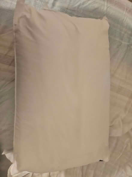 Photo of free pillows (Capital Quay M50) #1