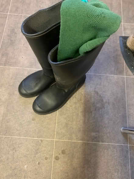 Photo of free Adult wellies size 9 (43) (Digswell AL6) #1