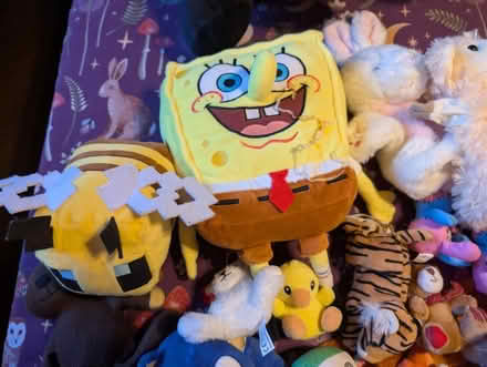 Photo of free Lots of teddies (CB22) #3