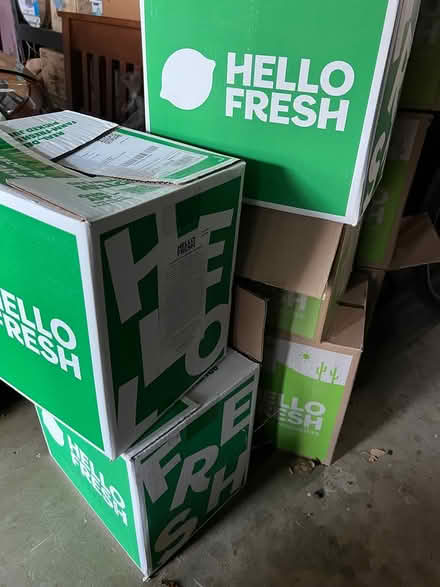 Photo of free boxes and ice packs (1147 Rose Ave, Mountain View) #2